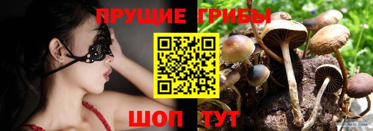 Галлюциногенные грибы Psilocybine cubensis Реж
