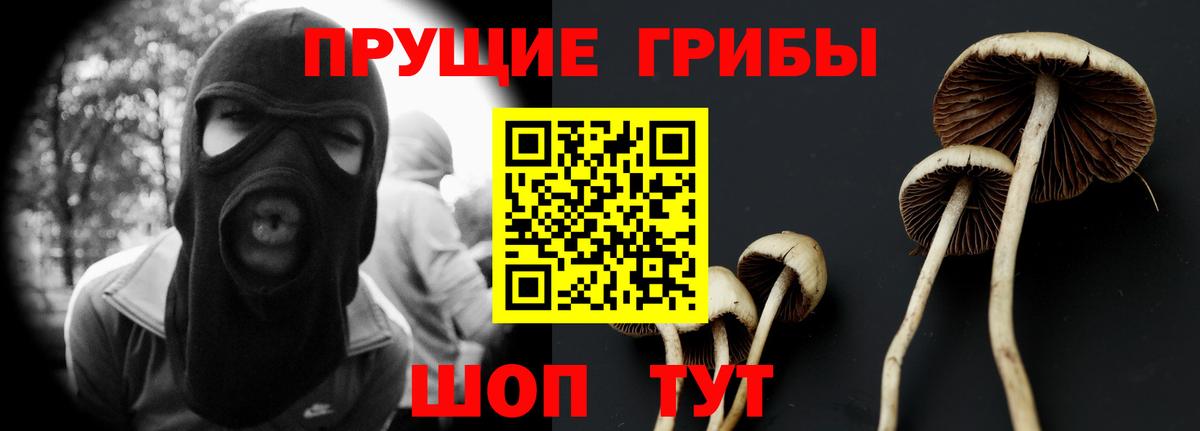 Реж  Псилоцибиновые грибы Cubensis  Вход с VPN 